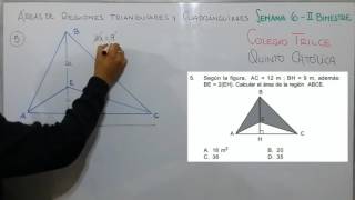 GEOMETRÍA  ÁREA DE REGIONES TRIANGULARES Y CUADRANGULARES [upl. by Millian]