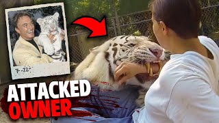 This White Tiger Attacked Its Owner In Front of Audience [upl. by Audrye196]