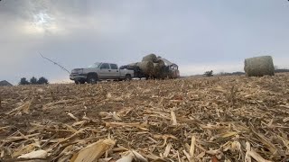 Moving cornstalk bales home [upl. by Mccurdy564]