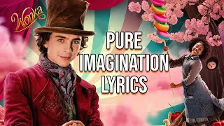 Pure Imagination Lyrics From quotWonkaquot Timothée Chalamet [upl. by Ahel888]