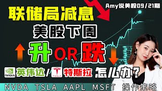 【美股下周行情展望】💥联储局减息？美股下周升or跌？｜💥特斯拉英伟达怎么办？｜IBMTSLANVDAGDSINSG 美股股票纳指Amy说美股 [upl. by Pelagi593]