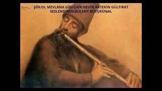 ŞİİROL MEVLANA GİBİ  ŞAİR NEVİN AKTEKİN GÜLFIRAT [upl. by Warder]