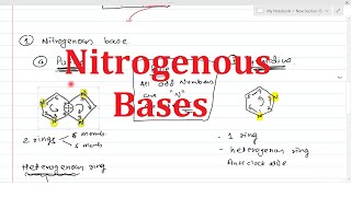 Nitrogenous Bases  Chemistry of Nucleic acid Part1  Purines amp Pyrimidines [upl. by Eylrahc707]