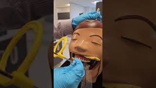 How to take Posterior Periapical Intraoral Radiographs [upl. by Durstin]