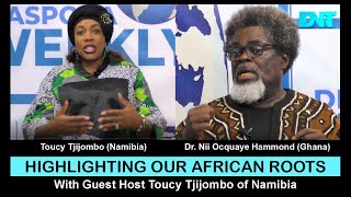 GHANAIAN GUEST AND NAMIBIAN HOST DISCUSS A RETURN TO OUR AFRICAN ROOTS [upl. by Nollahs]