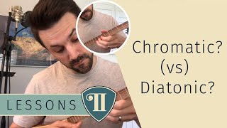 Learn About Diatonic vs Chromatic Stick Dulcimers [upl. by Louisa]