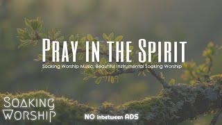 Experience DEEPER Prayer with Soothing Christian Instrumental Music [upl. by Southworth321]