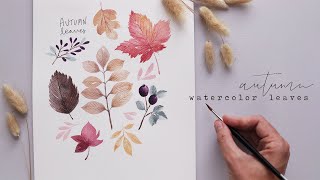 Every Watercolor Leaf You’ll Ever Need AUTUMN EDITION [upl. by Lawler]