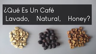 ¿Qué es Café Lavado Natural y Honey [upl. by Il]