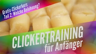 Clickertraining für Anfänger Teil 2  Welche Belohnungen verwenden [upl. by Bailar]