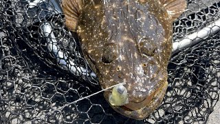 Flathead catch and cook Mallacoota [upl. by Vincelette555]