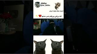 اكسبلور فلسطينحرة roblox ضحك رونالدو cat funny دويتو memes mm2 [upl. by Goles]