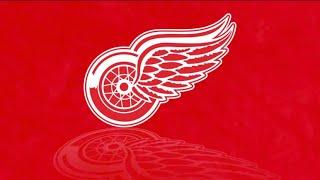 Detroit Red Wings 2024 Goal Horn [upl. by Alesram]