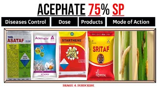 Acephate 75 SP  Acephate Insecticide  Uses  Dose  For which Insects  Mode of Action । [upl. by Conlen]