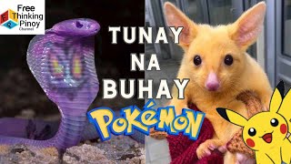 Ito ang mga REAL LIFE POKEMON na nakita ng mga tao  9 Pokemon Caught [upl. by Akinad]