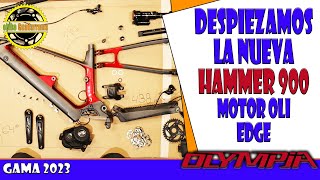 EBIKE HAMMER EDGE 900 2023 AL DESNUDO [upl. by Yerffe]