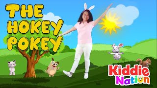 The Hokey Pokey  Classic Songs  Pipalupa [upl. by Anitel]