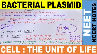 Plasmid  Bacterial Plasmid  Types of Plasmid  Plasmid as a Vector  Bacterial Conjugation  NEET [upl. by Stevenson]