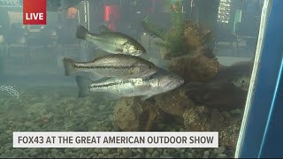 Great American Outdoor Show has live fishing exhibits [upl. by Boleyn]