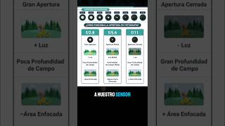 ¿Ya sabías para que es la apertura del diafragma en fotografía fotografo fotografia fyp [upl. by Garaway225]