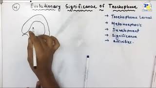 Evolutionary Significance of Trochophore Larva in Odia by PradeepSir [upl. by Aneehsak]