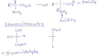 89 Amino Acids Introduction  Stereochemistry amp Nomenclature [upl. by Yenttihw]