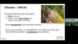 Pioneer Agronomy Webinar – Gibberella Ear Rot [upl. by Darrel]