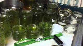 Canning Chocolate Mint Jelly [upl. by Hoang432]