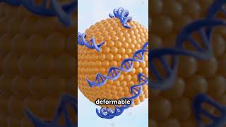 Dermal Liposome Development Enhancing Skincare skincare drugdelivery nanotechnology [upl. by Rozalin]