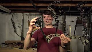 Best Compound Bow for Beginners [upl. by Seth]