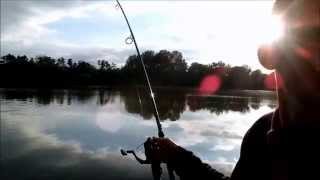 13 days fishing with Prologic [upl. by Custer]