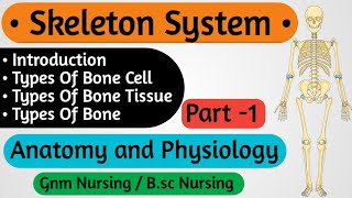 Skeletal System Anatomy and Physiology Nursing  Anatomy and Physiology For Nursing Student [upl. by Llerahs]