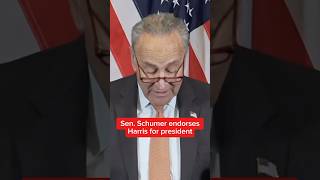 Sen Schumer endorses Harris for president [upl. by Maximilianus320]