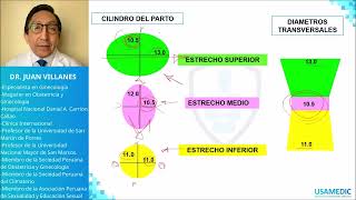 Pelvimetría  Planos de HODGE y LEE USAMEDIC  Obstericia 4 [upl. by Capwell]