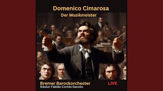 Domenico Cimarosa Der Musikmeister Aria quotDies der Passus der Violinenquot [upl. by Thordis]