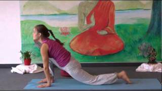 Intermediate Yoga Vidya Class 20 Minutes [upl. by Nnylimaj]