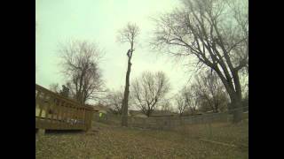 Tree Climbers LLC Dead Tulip poplar tree removal time lapse 1242013 [upl. by Essy]