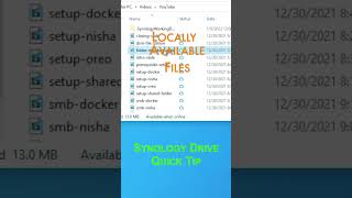 Synology Drive Quick Tip  Difference Between Locally Available And Permanently Pinned Files [upl. by Alyag]