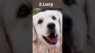 Top 5 Female Dog Names Shorts Dogs [upl. by Kellyann388]