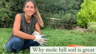 Why I love mole hills Getting soil from mole hills [upl. by Airb]