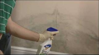 How To Treat Condensation Damp  Newton CWC Cold Wall Coating [upl. by Ycnej]