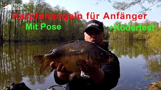 Karpfenangeln mit Pose für Anfänger  Ködertest [upl. by Shanley936]