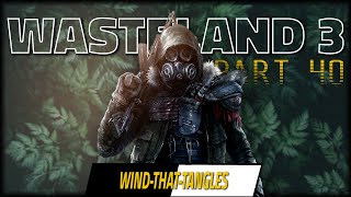 The Paint Mines  WASTELAND 3 Lets Play  Part 40 [upl. by Wemolohtrab]