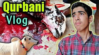 BAKRA EID VLOG 2023 🔥 QURBANI VLOG GOT EMOTIONAL 😭 Ibrahim Asim  Bakray qurban krdiye Alhumdulillah [upl. by Latricia]