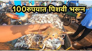 वाम घेतली कमी भावातश्रावण महिना संपल्यावर मासळीचा भावroyaldadusfishing [upl. by Lon106]