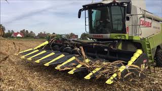 Claas Lexion 580 TT amp Olimac Drago GT dreschen Körnermais by Agrartechnik Werther [upl. by Allison]