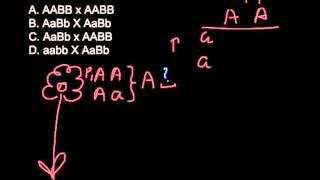 Which of the following is the testcross How to find if the plant is homozygous or heterozygous [upl. by Niatirb]