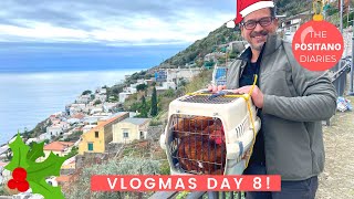 BYE BYE CHICKENS THE HENS TAKE A TRIP  Vlogmas EP 8 [upl. by Nevah24]