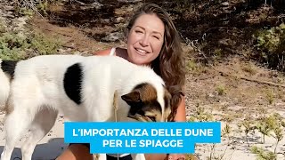 Limportanza delle dune per le spiagge [upl. by Rieger454]