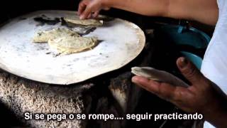 Quesadillas de Hongos Setas Atlipozonia Tezonapa Veracruz [upl. by Oralee]